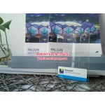 Tấm lợp lấy sáng Polycarbonate Israel PALSUN