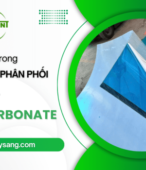 Đơn vị uy tín trong sản xuất, phân phối tấm Polycarbonate – Toàn Thắng Sài Gòn
