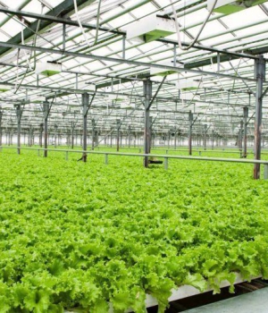 Thi công mái lợp poly tại TPHCM